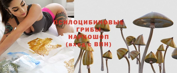индика Пересвет