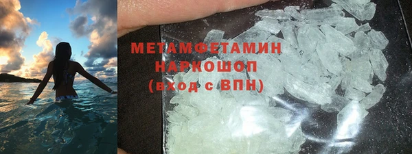 сатива Ахтубинск