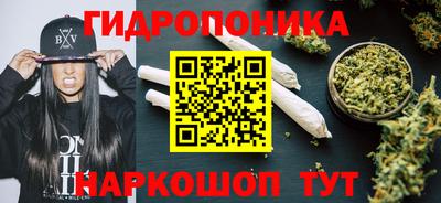 крисы Абакан