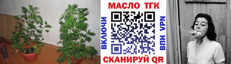 Дистиллят ТГК THC oil  даркнет сайт  Асбест 