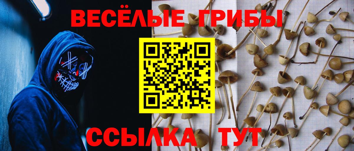 Псилоцибиновые грибы Cubensis  Вход с VPN  Галлюциногенные грибы MAGIC MUSHROOMS  Асбест 